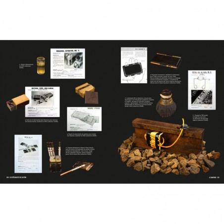 Les Compagnons de l'ombre. Les services spéciaux français face à l'Histoire, 1940-1945