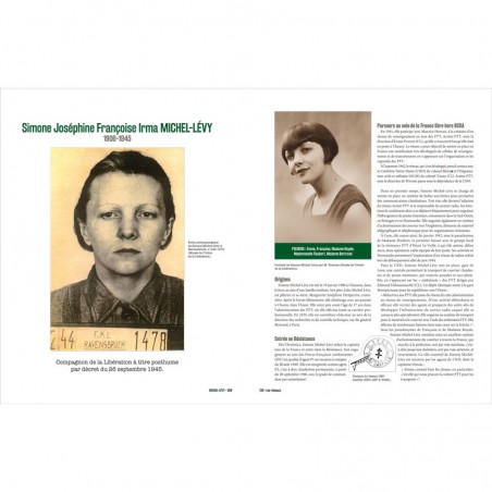 Les Compagnons de l'ombre. Les services spéciaux français face à l'Histoire, 1940-1945