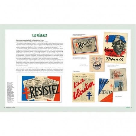 Les Compagnons de l'ombre. Les services spéciaux français face à l'Histoire, 1940-1945