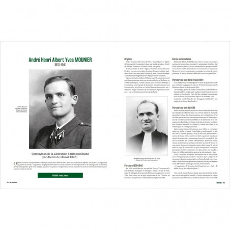 Les Compagnons de l'ombre. Les services spéciaux français face à l'Histoire, 1940-1945