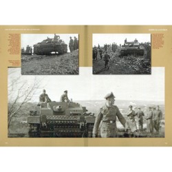 STURMARTILLERIE DE LA WAFFEN-SS Band 2 Totenkopf -... 2
