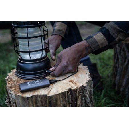 Tragbare LED-Lampe USB Bronze - FOREST LANTERN BRONZE 1-325 LUMEN USB - Barebones Living