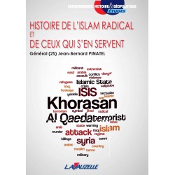Geschiedenis van de radicale islam en van degenen die er gebruik van maken