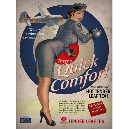 PIN-UP WINGS DEEL 2