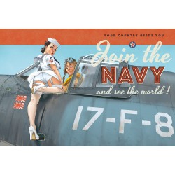 PIN-UP WINGS VOLUME 4 2