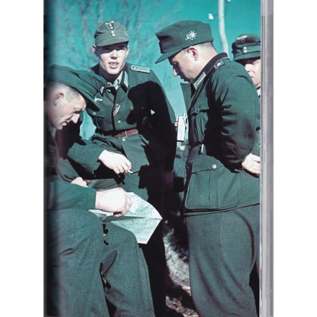 Les Gebirgstruppen en couleurs 1935-1945