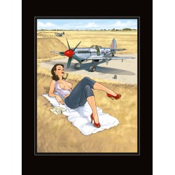 PIN-UP WINGS TOME 1 2