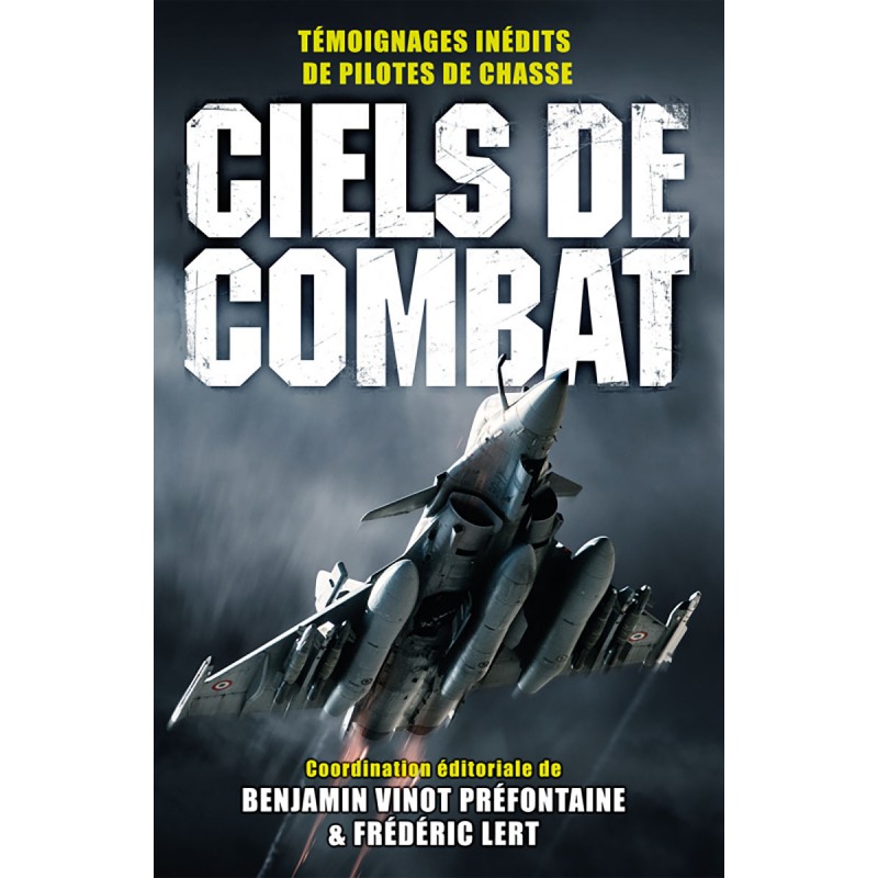 COMBAT SKIES - Unpublished Testimonies from...