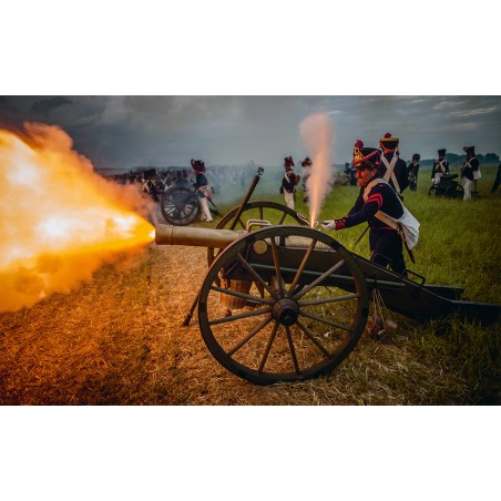 In de Gelederen van Napoleons Grande Armée