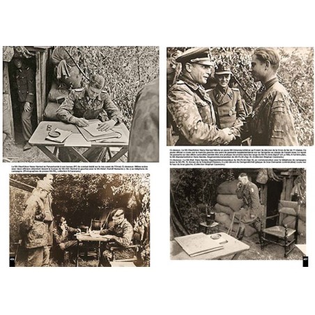 PANZERDIVISION FRUNDSBERG - UKRAINE - NORMANDY 1944