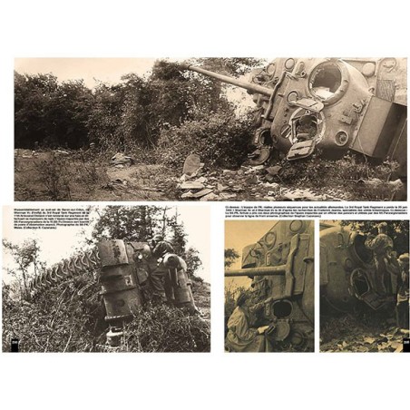 PANZERDIVISION FRUNDSBERG - UKRAINE - NORMANDY 1944