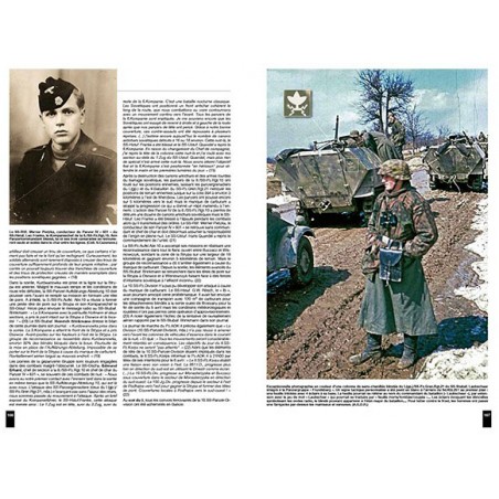 PANZERDIVISION FRUNDSBERG - UKRAINE - NORMANDY 1944