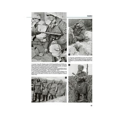 THE WAFFEN-SS - THE GRENADIERS - Helmets & Camouflage -... 2
