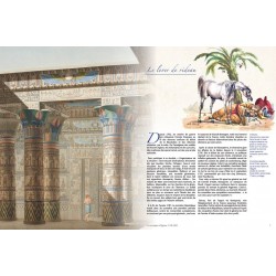 The Egyptian Campaign 1798–1801 2