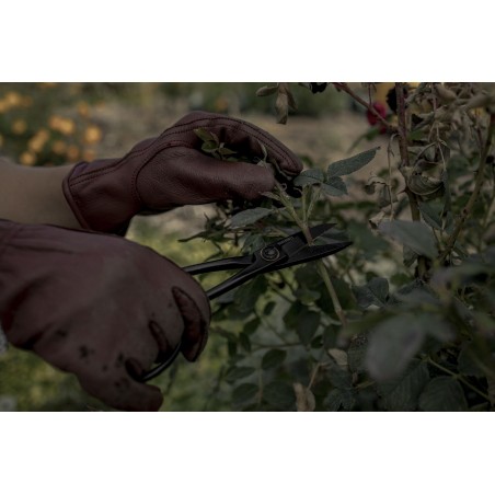 Gants Cuir Cognac - Leather Classic Gloves Barebones Living