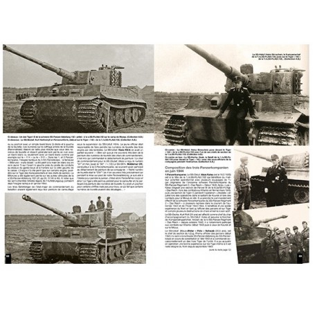 SCHWERE SS-PANZER-ABTEILUNG 102 - TIGER OF THE 102