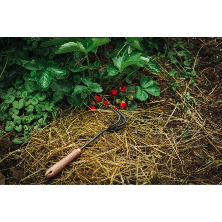 Tuinklauw – Barebones Living