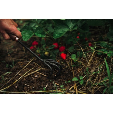 Griffe de Jardin – Barebones Living