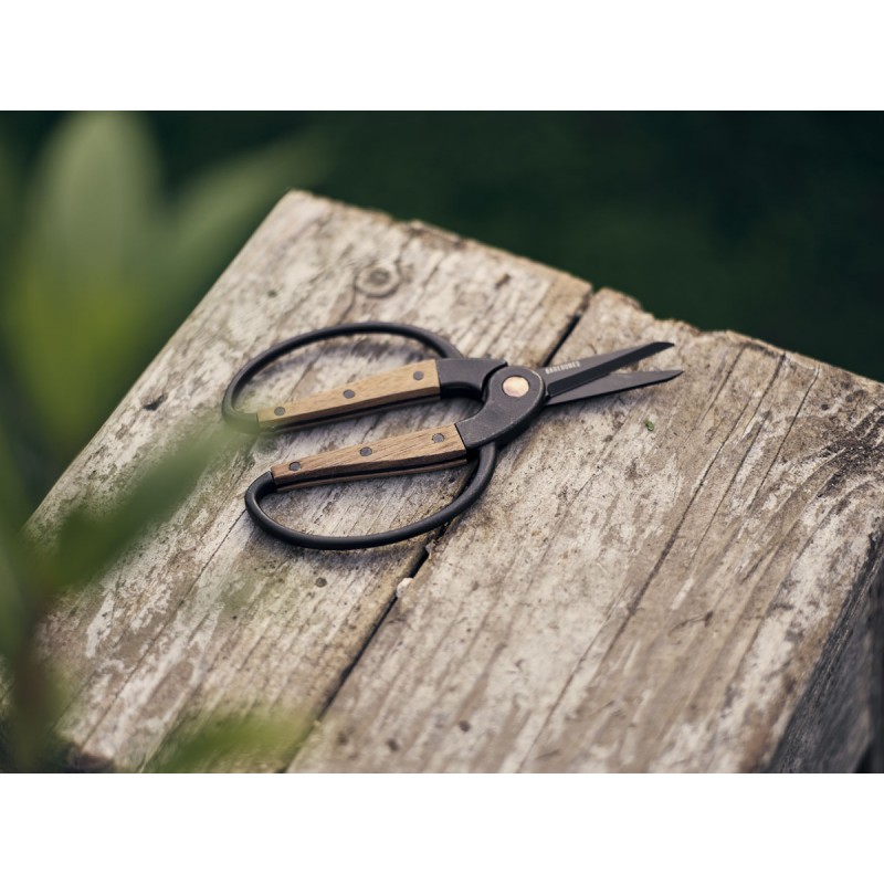Small Garden Scissors – Barebones Living