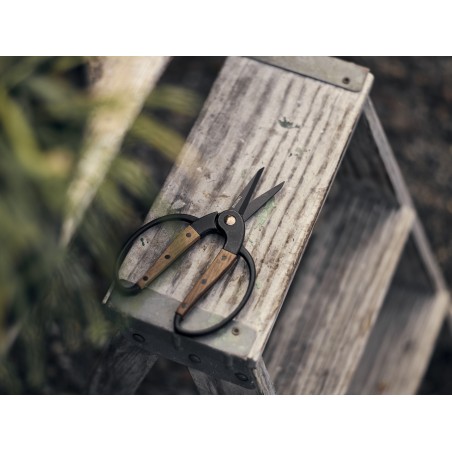 Ciseaux de Jardin Petite taille – Barebones Living