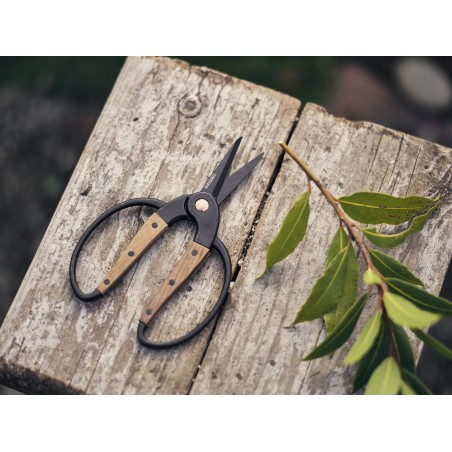 Small Garden Scissors – Barebones Living