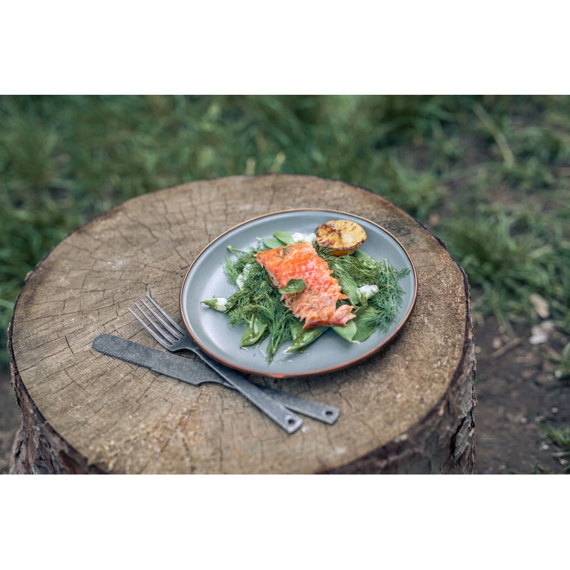 Petites assiettes en acier émaillé couleur...