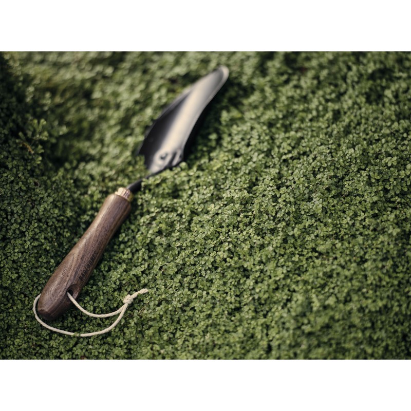 Gartenkelle – Barebones Living