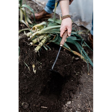 Square Hoe – Barebones Living