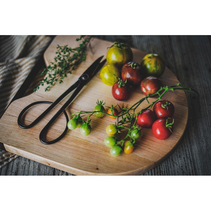Garden Shears – Barebones Living