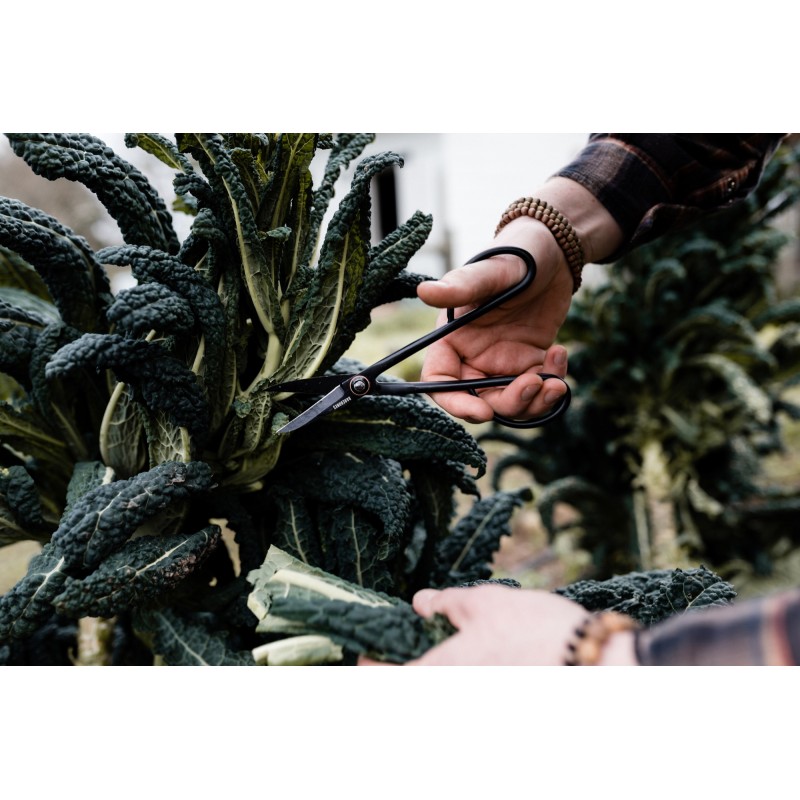 Garden Shears – Barebones Living