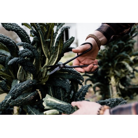 Garden Shears – Barebones Living