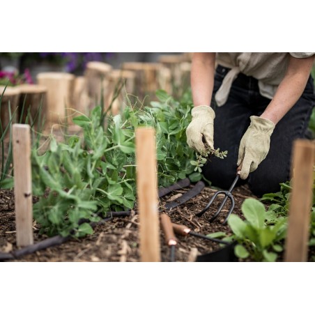 Tuinkrabber - CULTIVATOR - WALNUT - Barebones Living