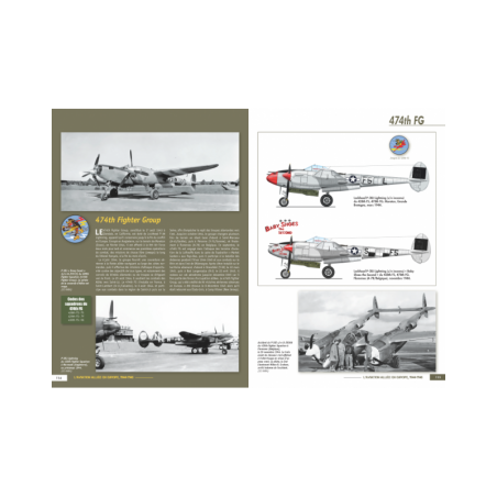 L'AVIATION ALLIÉE EN EUROPE DE L'OUEST - 1944 1945