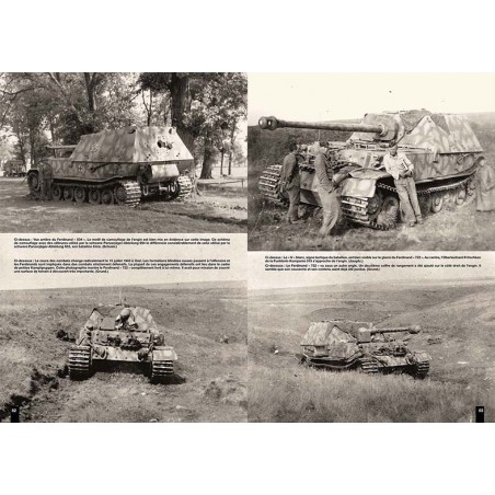 HISTORY OF THE SCHWERE PANZER-ABTEILUNG 654