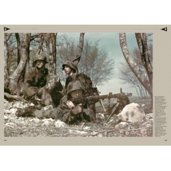 DIE WAFFEN-SS IM KAMPF 1933–1945 2
