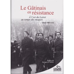 THE GÂTINAIS IN THE RESISTANCE - To the east of the...