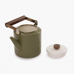 Olive Enamel Steel Teapot - Barebones Living 2