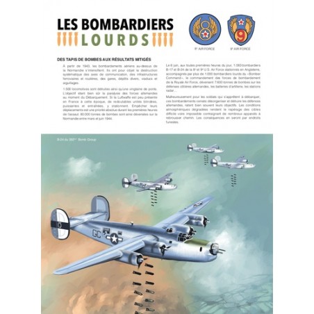 IN THE SKIES OVER NORMANDY 1944