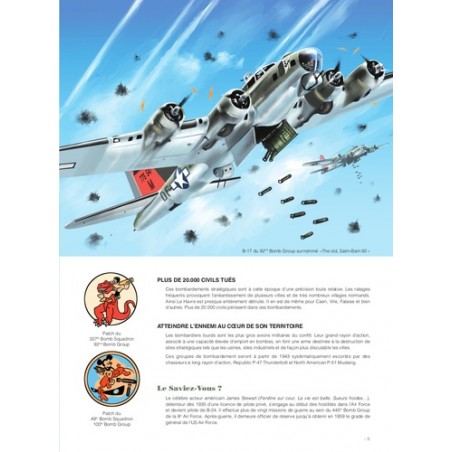 DANS LE CIEL DE NORMANDIE 1944