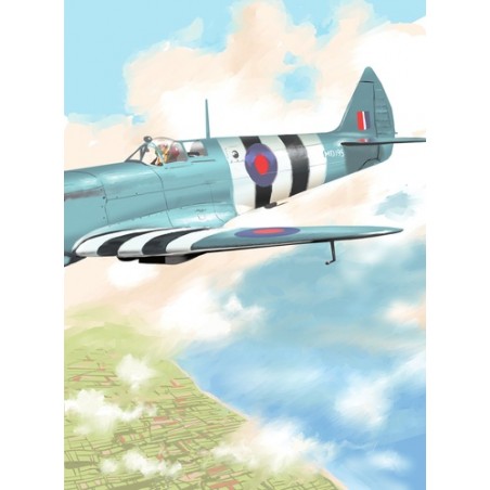 DANS LE CIEL DE NORMANDIE 1944