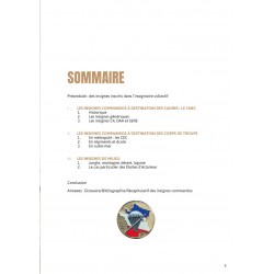 DIE GROSSE GESCHICHTE DER COMMANDO-ABZEICHEN 2