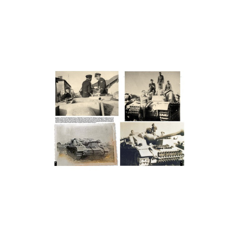 PANZERS NORMANDIE 44 - SS-Panzer-Abteilung 17...