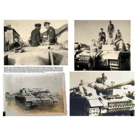 PANZERS NORMANDÍA 44 - SS-Panzer-Abteilung 17 "Götz von Berlichingen"