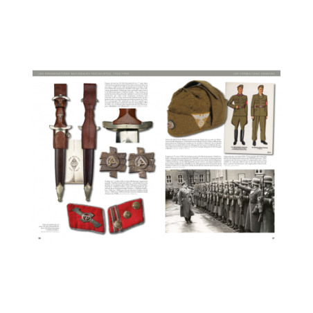 National Socialist Organizations 1920–1945: Analysis of a Totalitarian Regime