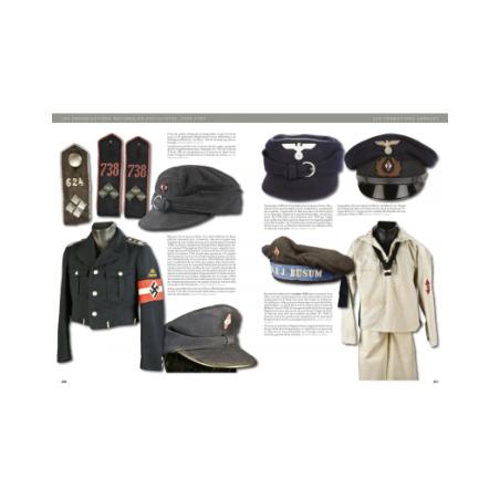 De Nationaal-Socialistische Organisaties 1920-1945 Analyse van een totalitair regime