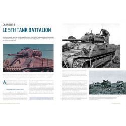 MARINE CORPS TANK MARKINGS IN THE PACIFIC 2
