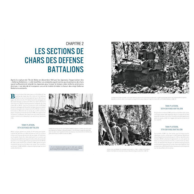 LES MARQUAGES DES CHARS DU MARINE CORPS DANS LE...