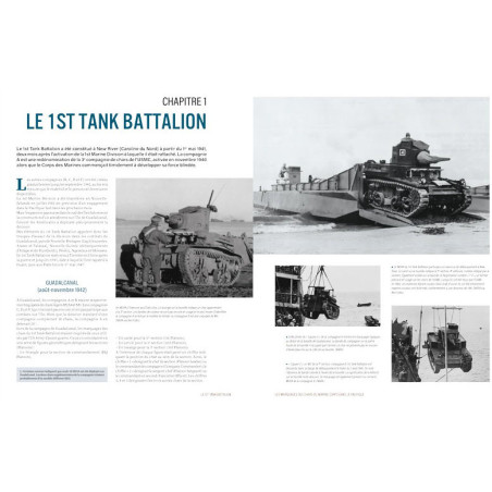 LES MARQUAGES DES CHARS DU MARINE CORPS DANS LE PACIFIQUE