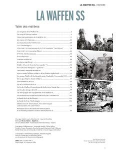 DE WAFFEN-SS - Geschiedenis, Uniformen, Uitrusting 2