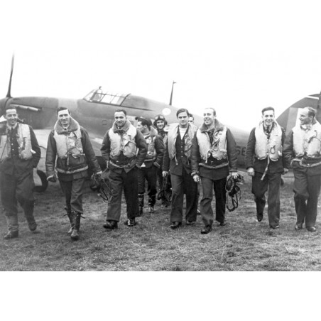 Squadron 303 Auxiliary Flask Whisky - The Blend of Freedom -